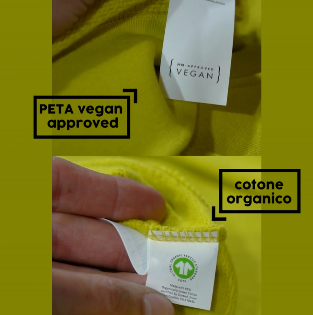 Felpa Girocollo - Spring Collection - Tiratura Limitata
